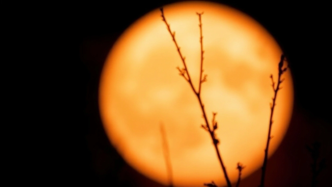 Why Will the Moon Appear Lower?